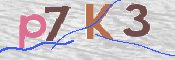 Kontrolní text