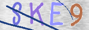 Kontrolní text