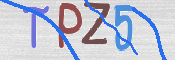 Kontrolní text