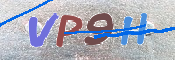 Kontrolní text