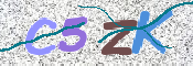 Kontrolní text