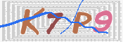 Kontrolní text