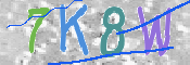 Kontrolní text