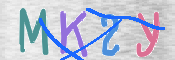 Kontrolní text