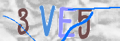 Kontrolní text