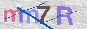 Kontrolní text