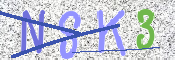 Kontrolní text