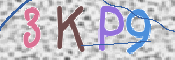 Kontrolní text