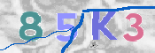 Kontrolní text