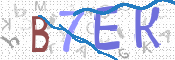 Kontrolní text