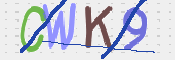 Kontrolní text