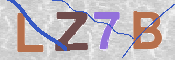 Kontrolní text