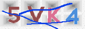 Kontrolní text