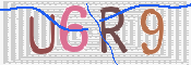 Kontrolní text