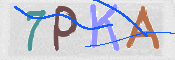Kontrolní text