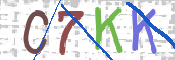 Kontrolní text
