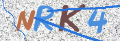 Kontrolní text