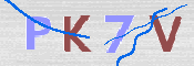 Kontrolní text