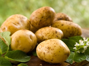 Můžeme jíst naklíčené brambory?