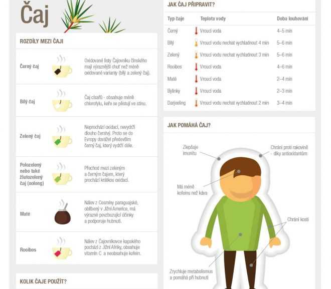 Infografika: Jak na přípravu čaje