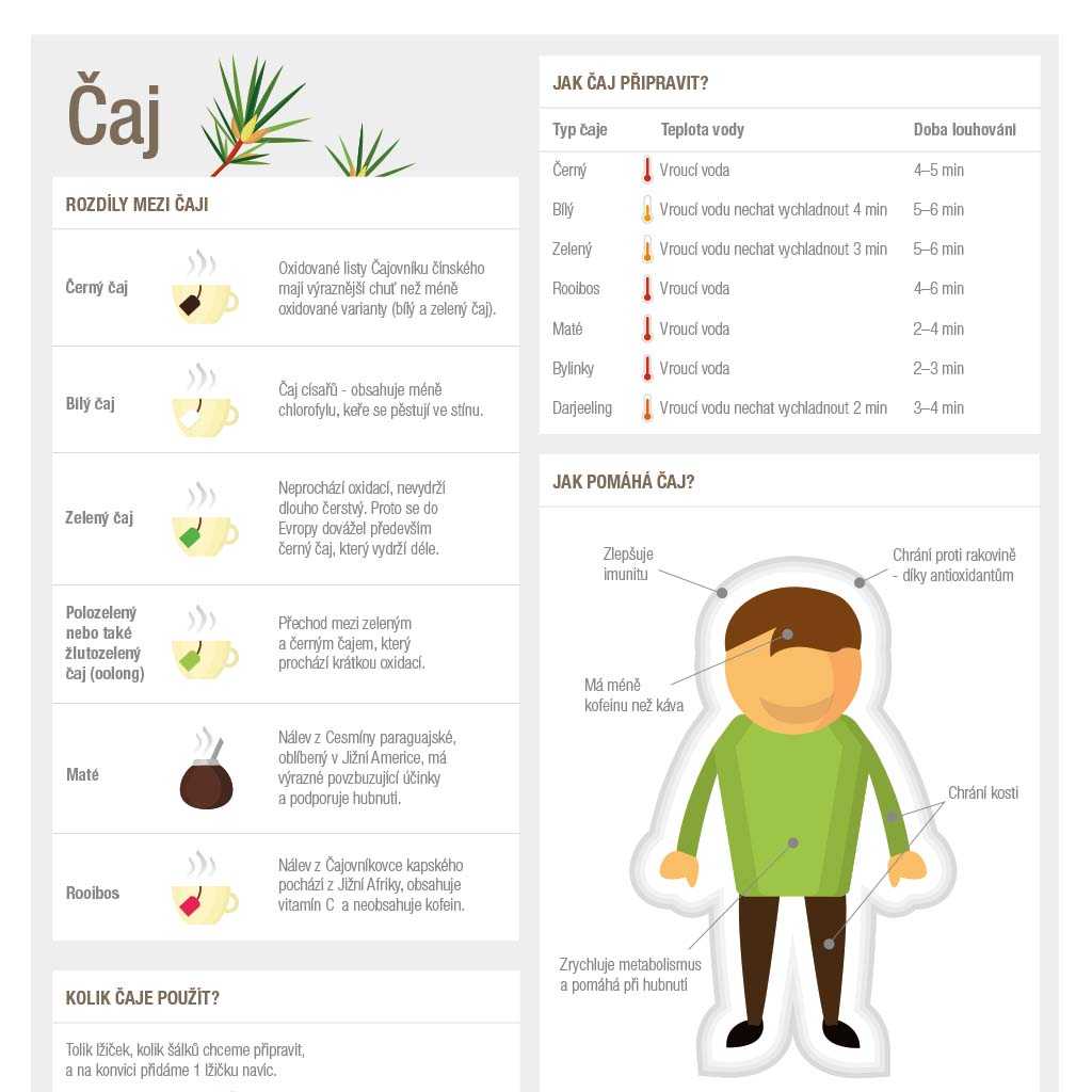 Infografika: Jak na přípravu čaje