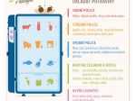 Infografika: Jak správně ukládat potraviny do ledničky