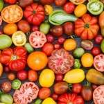 Zdravá rajčata jako rychlá salsa nebo italská foccacia