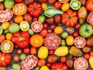 Zdravá rajčata jako rychlá salsa nebo italská foccacia