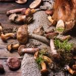 Houbový podzim: tradiční recepty s houbami