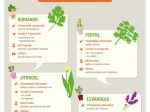 Infografiky: Méně používané bylinky v kuchyni