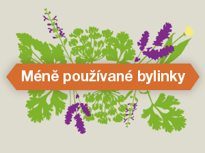 Infografiky: Méně používané bylinky v kuchyni