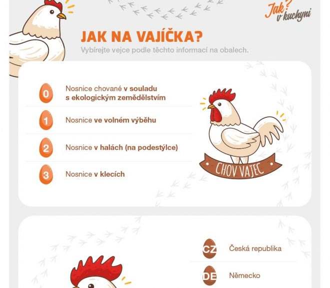 Infografika: Jak na vajíčka?