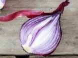 cibule