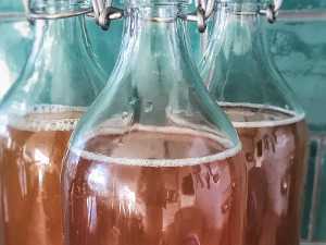 Kombucha