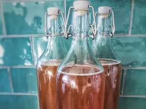 Kombucha lišejník se skvělou pověstí