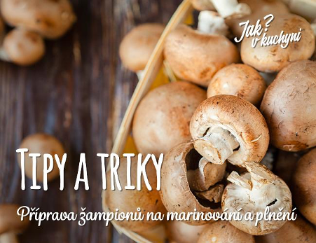 Tipy a triky - houby