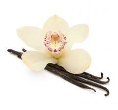 Vanilla Beans and Orchid