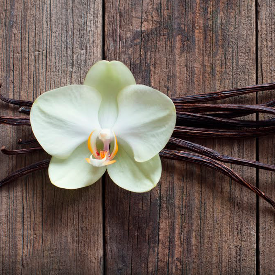 Vanilka: exotické koření Aztéků, které oceníme v kuchyni i domácí lékárně
