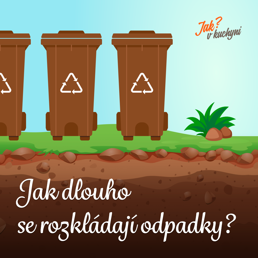 Infografika: Jak dlouho se rozkládají odpadky pohozené v přírodě?