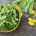 Pampeliska-1080x1080-foto-150x150