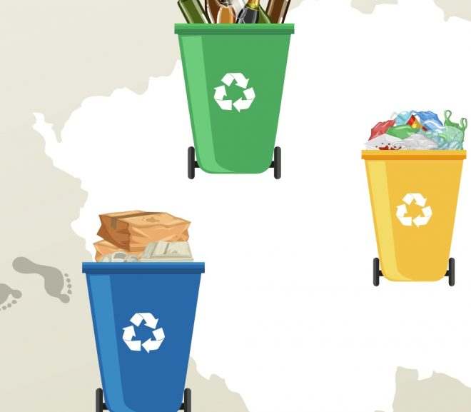 Infografika: Jak Češi třídili odpad v roce 2021?