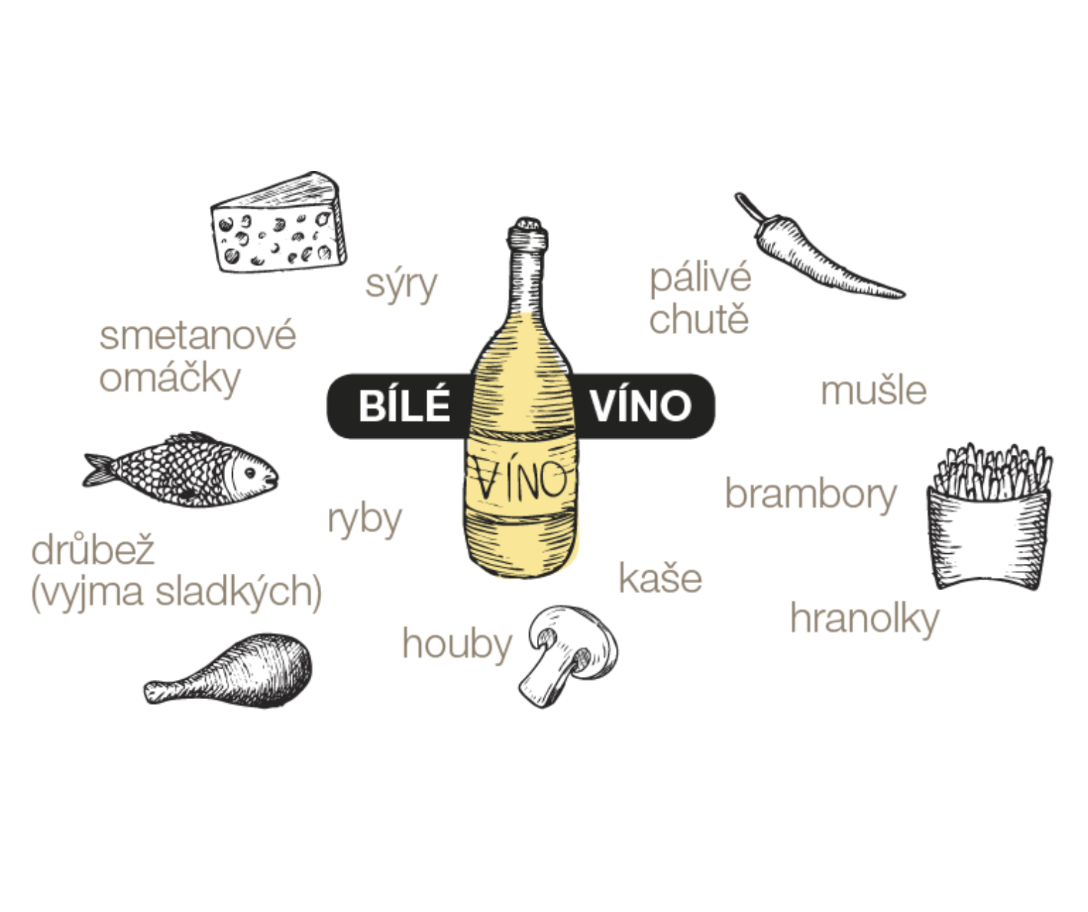 Jednoduchá infografika o párování bílého vína, tipy na recepty najdete na Jakvkuchyni.cz! (Zdroj: Jakvkuchyni.cz)